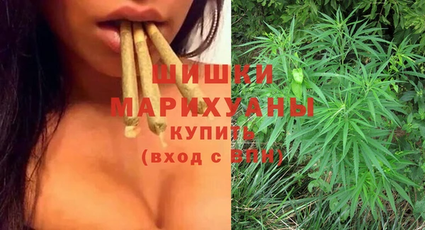 ешки Гусь-Хрустальный